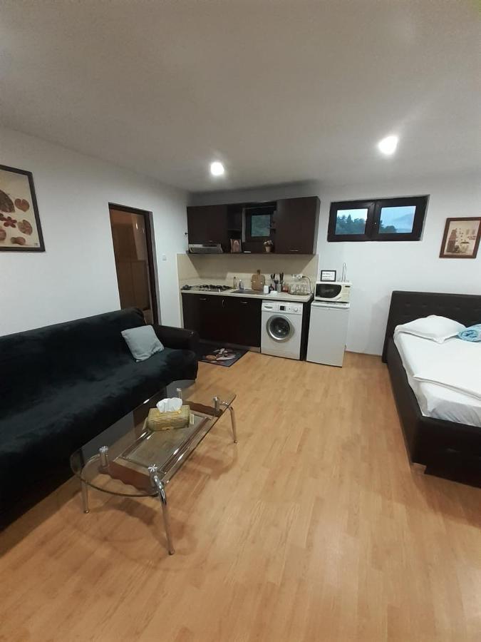 CălimăneştiApartament Relaxアパートメント エクステリア 写真