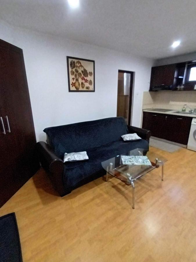 CălimăneştiApartament Relaxアパートメント エクステリア 写真
